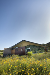 The Nix Nature Center, with a field of wildflowers in front of it.