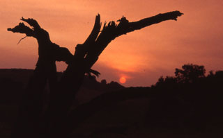 A beautiful sunset at Riley Wilderness Park.