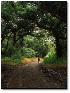 Oneil Park