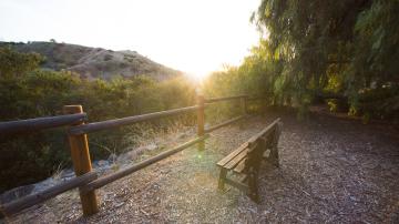 Carbon Canyon Regional Park