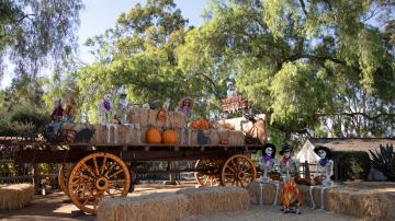 Fall and Halloween-themed displays on hay bales at Heritage Hill Historical Park in Lake Forest.