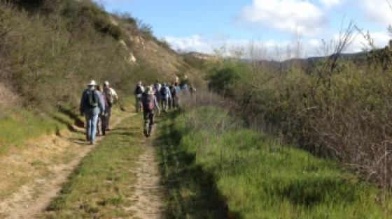 Nature Hike
