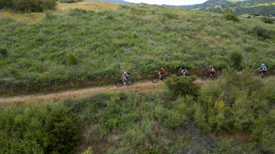 Mountain Bike 