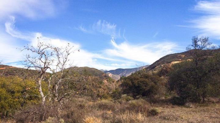 Thursday Morning Trek, Baker Canyon