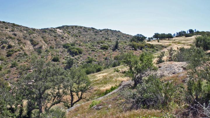 Monday Morning Super Trek, Weir Canyon to the Overlook Trail