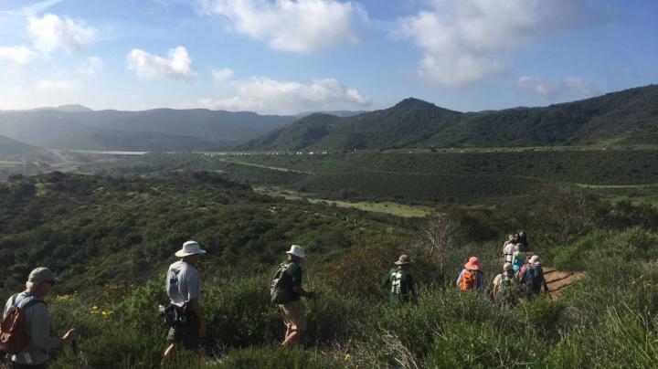Fitness Hike- Ridge 