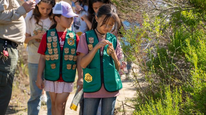 Jr. Ranger program