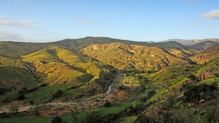Outdoors at the Irvine Ranch Conservancy