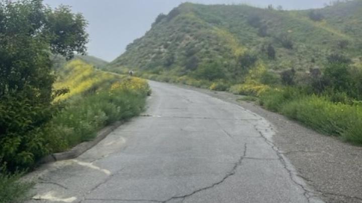 Hike at Hicks Haul