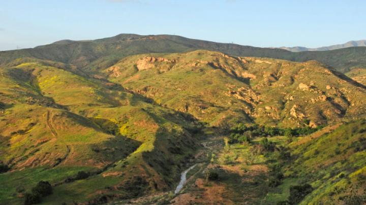 View at Irvine Ranch Open Space