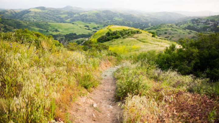 Winding dirt trail within rolling green hills.