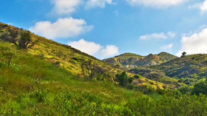 Weir Canyon View