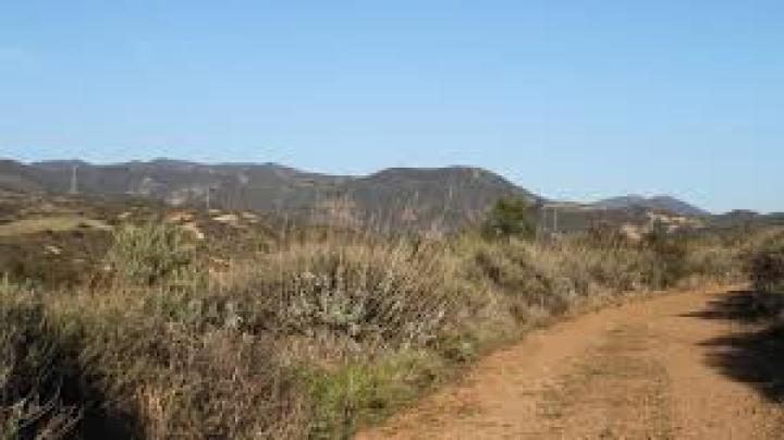 Single Tracks of Baker Canyon