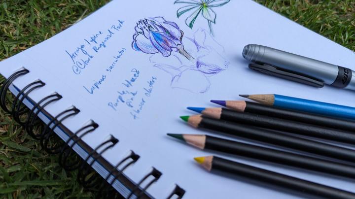 Nature journal lupine