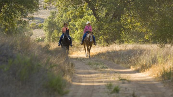 Lure and Lull of Limestone Canyon