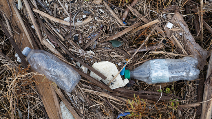 trash in the upper newport bay marsh