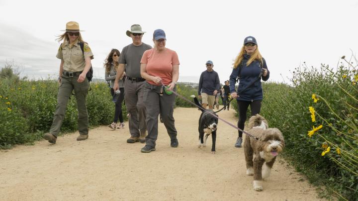Dogs walking down the trail during a guided hike at Upper Newport Bay