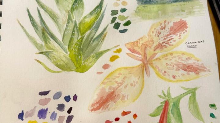 nature journaling