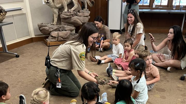Zoo prek class
