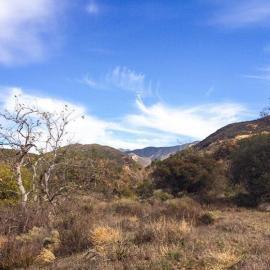 Thursday Morning Trek, Baker Canyon