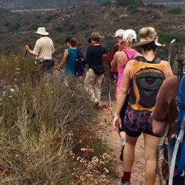 Fitness Hike - Nix, Little Sycamore