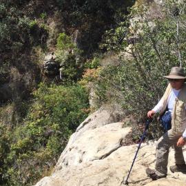Fitness Hike at Willow