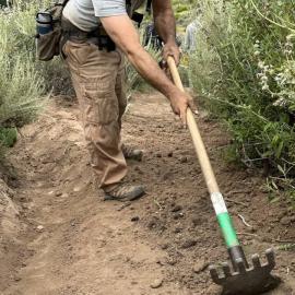 Trail Steward -Mariposa