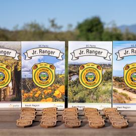JR. Ranger_2