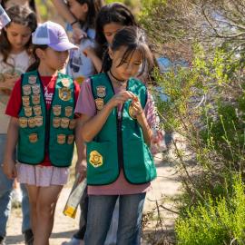 Jr. Ranger program