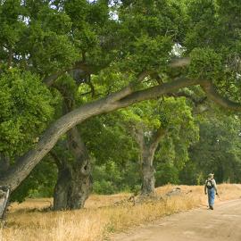 hike