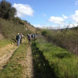 Nature Hike