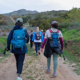 Canyon Hike