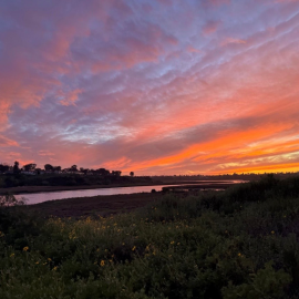 sunset over the back bay