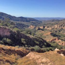 View from the back of the sinkholes.