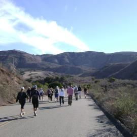 Hike on Paved Hicks Haul Road