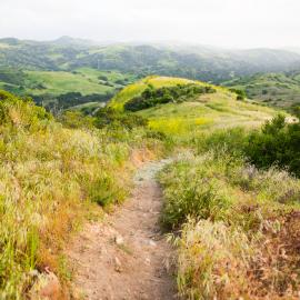 Winding dirt trail within rolling green hills.