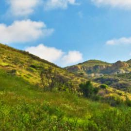 Weir Canyon View