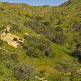 Weir Canyon Rifle Range Loop