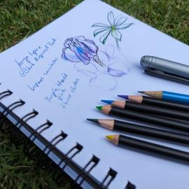Nature journal lupine