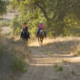 Lure and Lull of Limestone Canyon