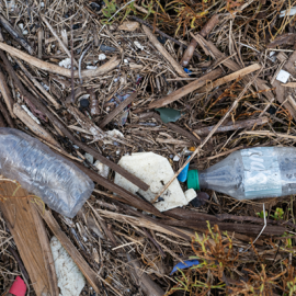 trash in the upper newport bay marsh
