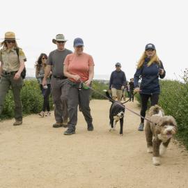 Dogs walking down the trail during a guided hike at Upper Newport Bay