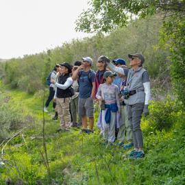 Family Hike