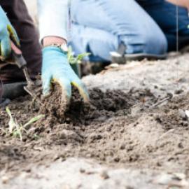 stewardship