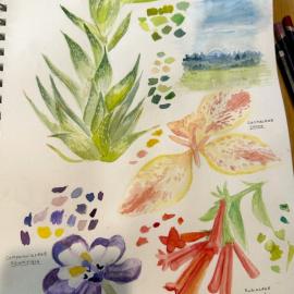 nature journaling