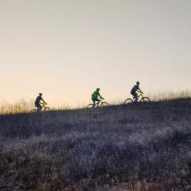 Night Ride Bike 