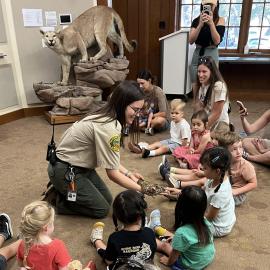 Zoo prek class