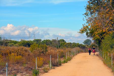 North Talbert Trails